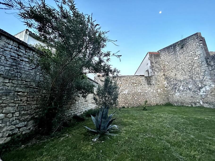 Le Republique - Logements Avec Jardin Situes En Plein Coeur De Ville Et Proche Des Thermes Rochefort (Charente-Maritime) Exterior foto